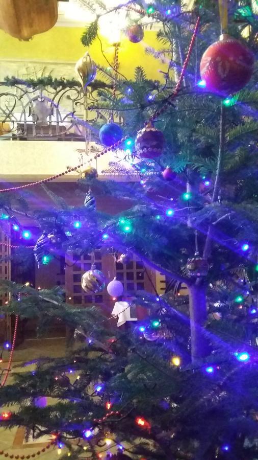 Letuchiy Gollandets Hotel Uzjhorod Eksteriør billede